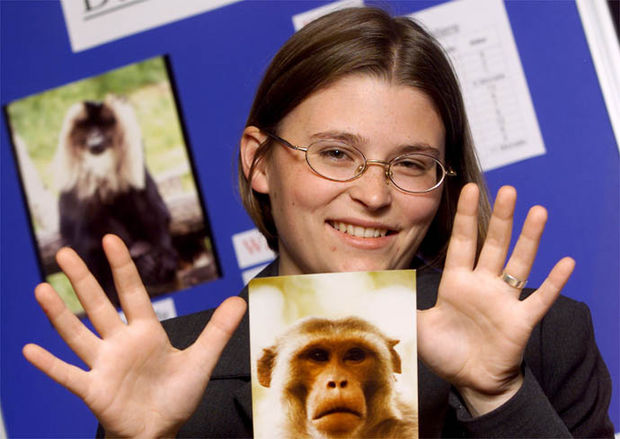 Sind Affen Rechts- oder Linkshänder? Untersuchung zum Handgebrauch bei Liszt-, Rhesus- und Bartaffen