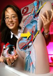 Die Untersuchung der differenziellen Genexpression in humanen Endothelzellen
