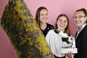 Bestimmung des Rostocker Stadtklimas mithilfe von Flechten als Bioindikatoren