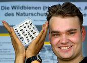 Die Wildbienenfauna des Landauer Naturschutzgebietes Ebenberg