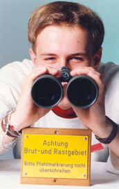Zugverhalten des Braunkehlchens