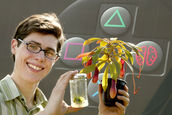 Morphologische Untersuchungen an Pleurozia purpurea und Zoophagie-Nachweis in Experiment und Natur