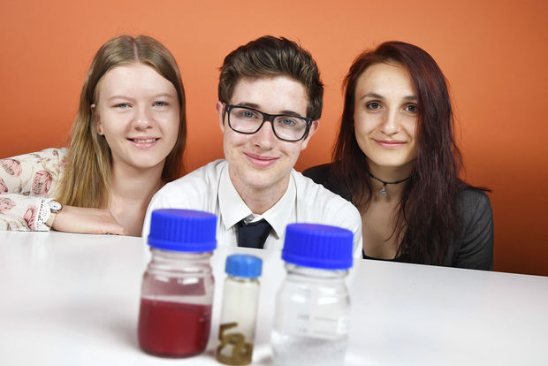 Mikroplastik – die Auswirkungen unseres Abfalls am Beispiel Hediste diversicolor