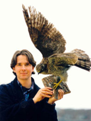 Siedlungsdichte, Revierverhalten und Konkurrenz bei Mäusebussard (Buteo buteo) und Habicht (Accipiter gentilis)