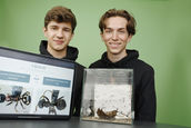 Bestimmung der in Berlin heimischen Ameisenarten