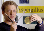 Bekämpfung von Aspergillus niger in Feuchträumen