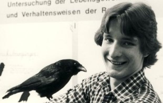 Untersuchung der Lebensgewohnheiten und Verhaltensweisen von Rabenkrähen
