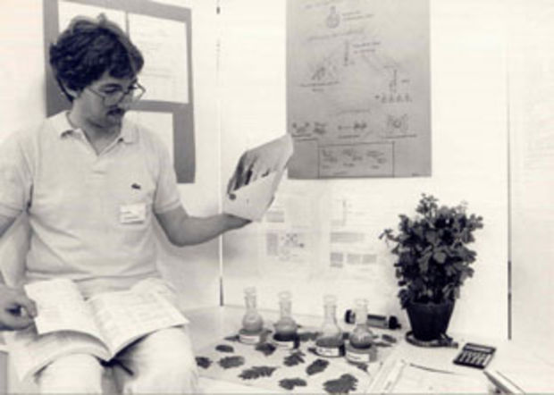 Chromatographische Trennung der Isochinolinalkaloide des Chelidonium maius und Versuche zu ihrer spektroskopischen Identifizierung