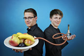 Dezentralisierte mobile Biogasanlagen – eine Alternative zur Biotonne?