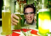Platinsalz als Stressfaktor für Chlorella