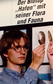 Ökologische Untersuchungen in zwei Häfen am Mittelrhein