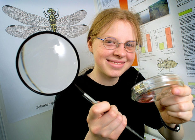 Untersuchung zum Habitatwahlverhalten von Onychogomphus forcipatus forcipatus