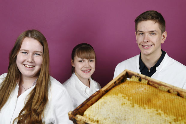 Die Honigbiene als Indikator für die Pestizidbelastung norddeutscher Flora und Fauna