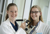 Transdifferenzierung in vivo und die Beteiligung von Genen