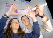 Die quantitative Optimierung des Biotinidase-Screenings