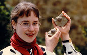 Der untere germanische Muschelkalk von Rüdersdorf