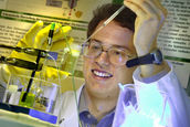 Thylakoide in vitro oder elektrischer Strom aus der Photosynthese