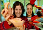 Entwicklung eines molekulargenetischen Tests zum Nachweis von Gebärmuttertumoren