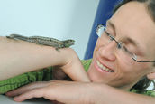 Natur aus zweiter Hand – der Steinbruch als Lebensraum für einheimische Reptilien